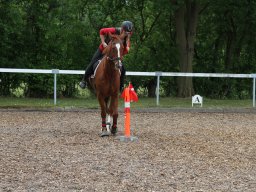 img_4497_web